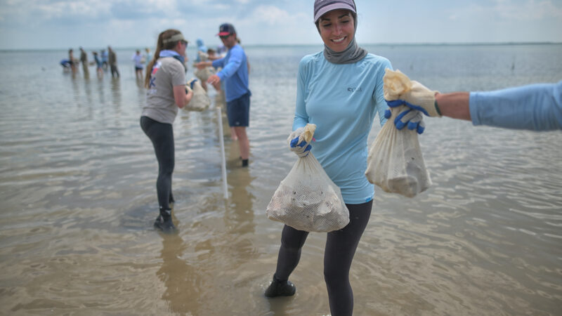 Rebuilding Reefs: The Oyster Project