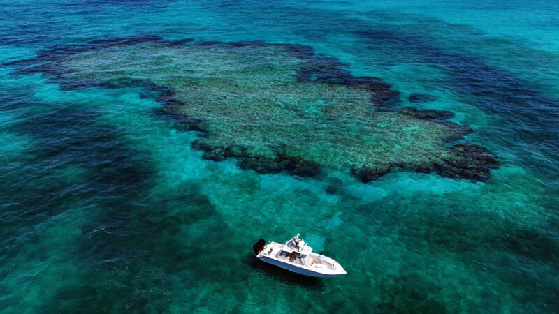 Fishing Adventures in Abacos, Bahamas